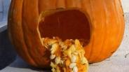 image of a pumpkin