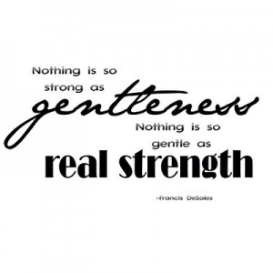 his-giant-mistake-gentleness+and+strength-300x300.jpg