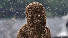 figure of a person covered with honey bees