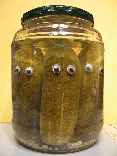 pickles for gmail.jpg