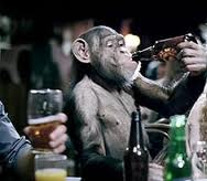 beer monkey.jpg