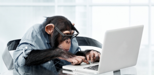 monkey fixing computer.jpg