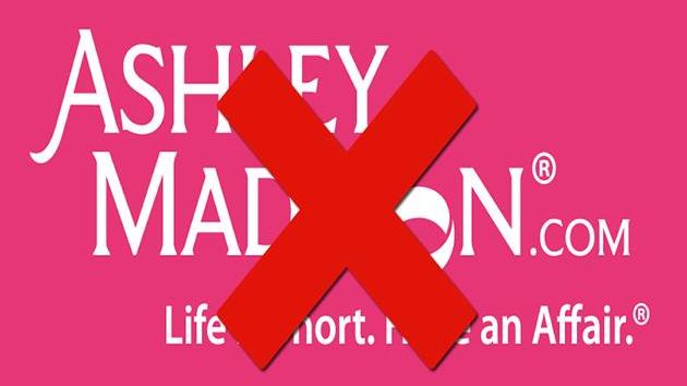 Ashley Madison Logo copy.jpg
