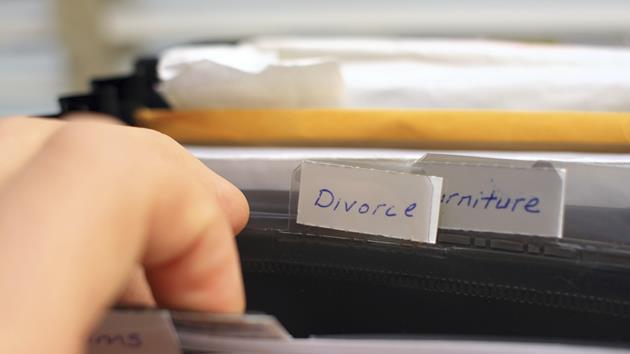 Divorce Files.jpg